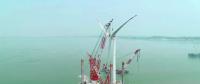 重磅！全球风轮直径最大抗台风型风电机组成功吊装！