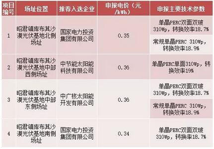 18家企业10个光伏应用领跑基地中标情况