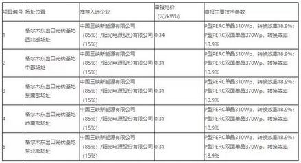 18家企业10个光伏应用领跑基地中标情况