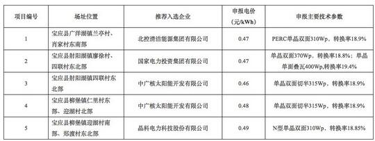 18家企业10个光伏应用领跑基地中标情况