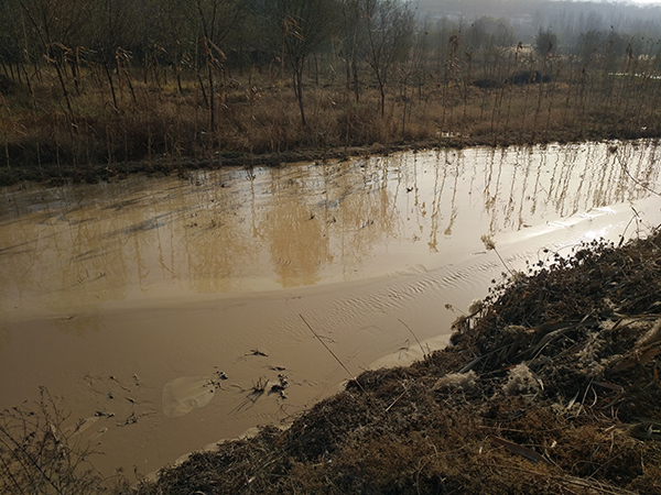 山东青州环保局回应“工厂占河道直排废气”：是滩涂，未超排