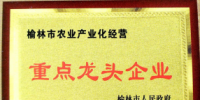 打造互联网+<font color=