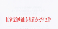 山東涉電力領(lǐng)域失信聯(lián)合懲戒對象名單管理工作實施辦法:<font color=