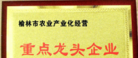 打造互联网+农产品领先品牌 带动陕西农业经济腾飞