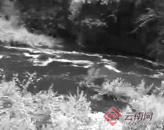 云南丽江部分水体变黑臭并有牲畜尸体，环保局：水闸放水引起