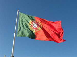 Reden太阳能收购葡萄牙50MW太阳能项目