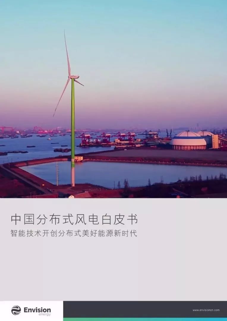 张雷：用智能技术为分布式风电设立“安全灯塔”