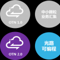 面向智能电网的高速光网络新理念