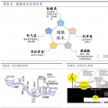 储能将成为能源互联网新型能源利用模式的关键支撑技术