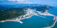 中国能建承建阳江核电5号机组并网发电