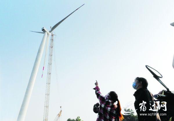 本土企业助力泗阳 迎来风力发电时代