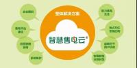 电网企业面向用户的竞争性售电策略