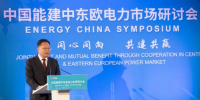 中东欧能源界期盼与中国共建共赢 (附<font color=