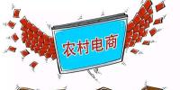中国农村电商市场现状及<font color=