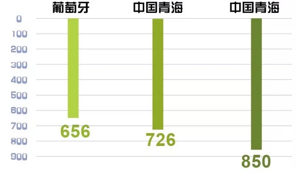 世界罕见｜刚刚 这个省不用火电了！