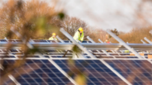 Solarcentury与PowerField合作开发荷兰最大光伏项目