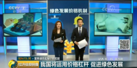 央视评新政丨峰谷价差拉大对电力市场和储能的影响