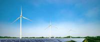 今年上半年德国可再生能源发电总量达1040亿千瓦时
