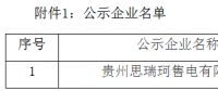 贵州公示1家新注册的售电公司