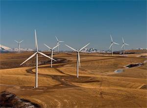 GUVNL宣布取消500兆瓦风电项目招标