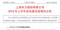国家电投旗下<font color=