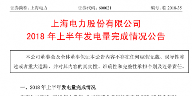 国家电投旗下上海电力上半年经营成绩单出炉：完成发电量237.85亿千瓦时