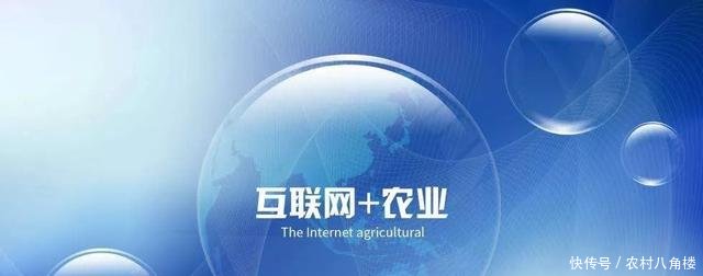 互联网+农业”发展再添引擎 手机将成农民“新农具”