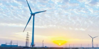 低价中标?400MW<font color=