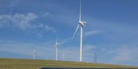 屡创佳绩,这个风电场是如何做到的?