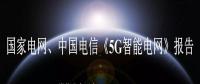 国家电网、中国电信《5G智能电网》报告全文