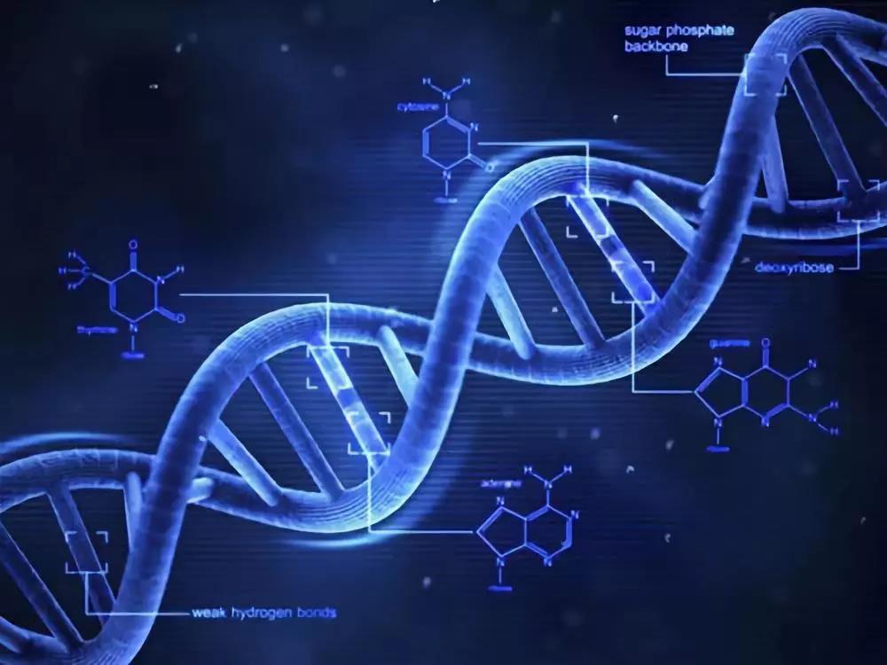 师法自然，仿生技术是如何改变世界的？