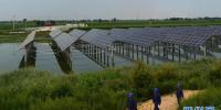 河北沧州推进“光伏电站<font color=