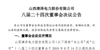 漳泽电力:为加快<font color=