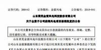 总装机100MW 金雷<font color=