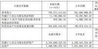 华仪电气:上半年<font color=