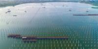 泗洪光伏发电应用领跑基地2、4号渔光互补<font color=