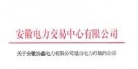 安徽1家具有发电业务的售电公司退出电力市场