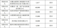 新海宜联合合肥国轩等10家企业 设立16亿<font color=