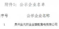 贵州公示1家拥有配电网运营权的售电公司