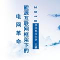 PPT|华北电力大学教授王鹏：支持局域电网开展试点