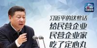 习近平主持召开民营企业座谈会:民营企业和民营企业家是我们自己人