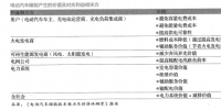 电动汽车储能,挑战电网未来?