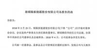 银隆称原董事长、总裁侵占公司超10亿 已起诉、报案