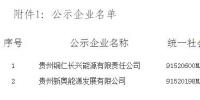 贵州公示2家售电公司