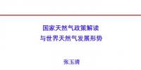 国家能源局原副局长张玉清:国家天然气政策解读与世界天然气发展形势