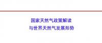 国家能源局原副局长张玉清：国家天然气政策解读与世界天然气发展形势