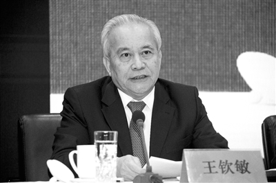 十二届全国政协副主席、国家电子政务专家委员会主任王钦敏