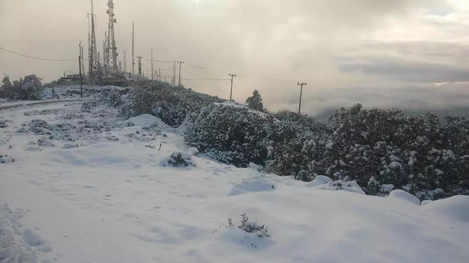 这是一个寒风凛冽的季节,冰雪笼罩着大地,白茫茫一片.