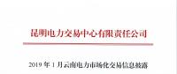 昆明电力交易中心发布了《2019年01月云南电力市场化交易信息披露》