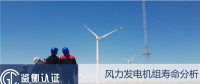 干货丨风力发电机组寿命分析